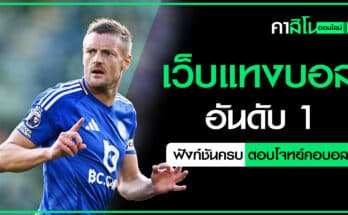 เว็บแทงบอล