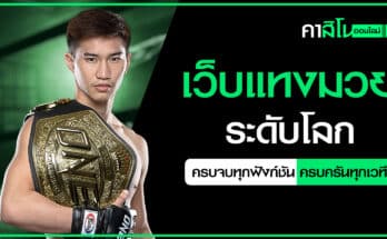 เว็บแทงมวย