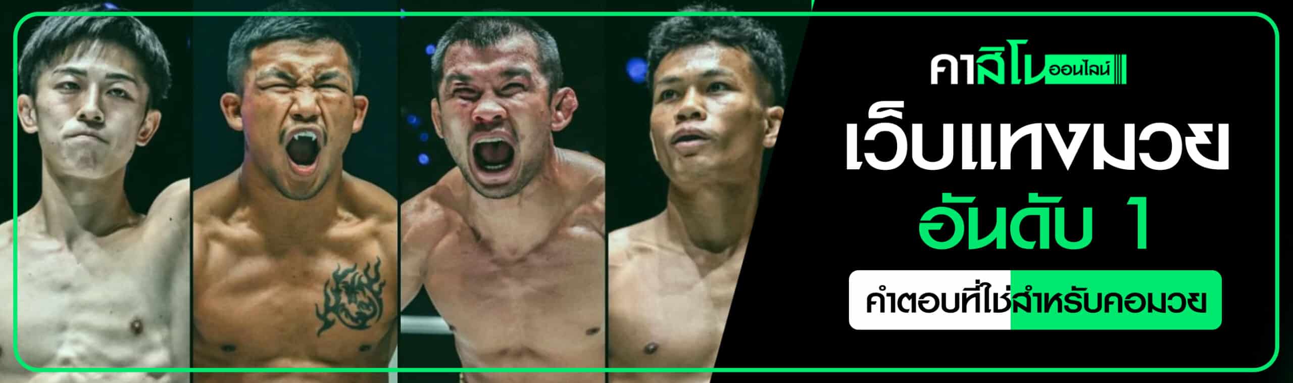 เว็บแทงมวย