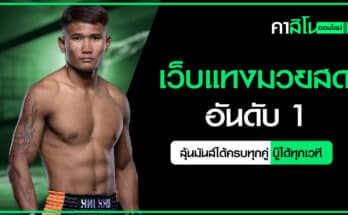 เว็บแทงมวยสด